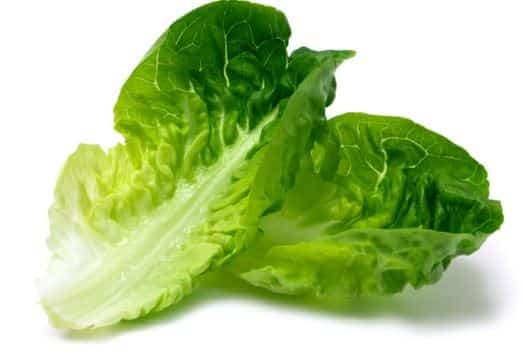 Lettuce